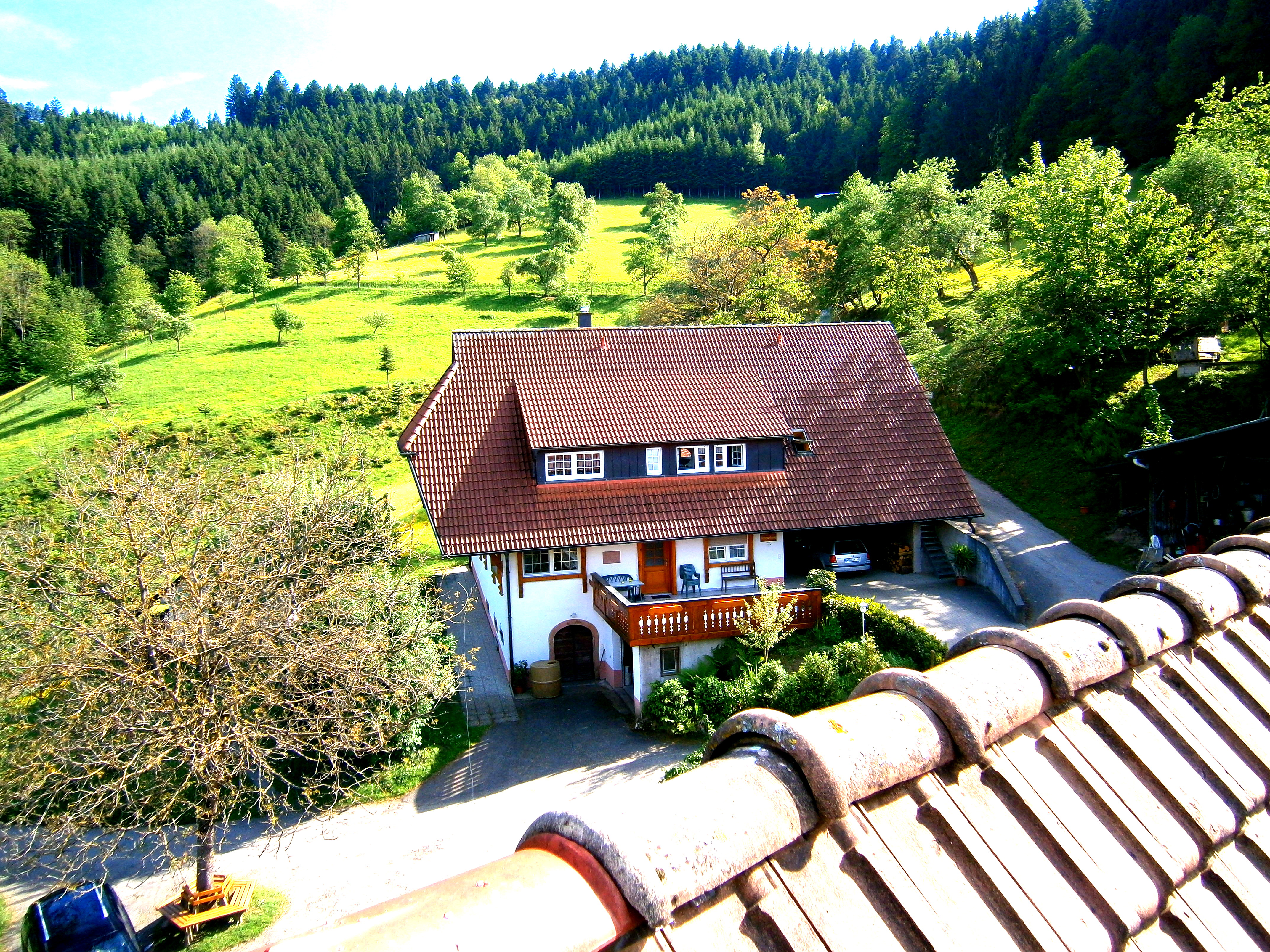Hofbild