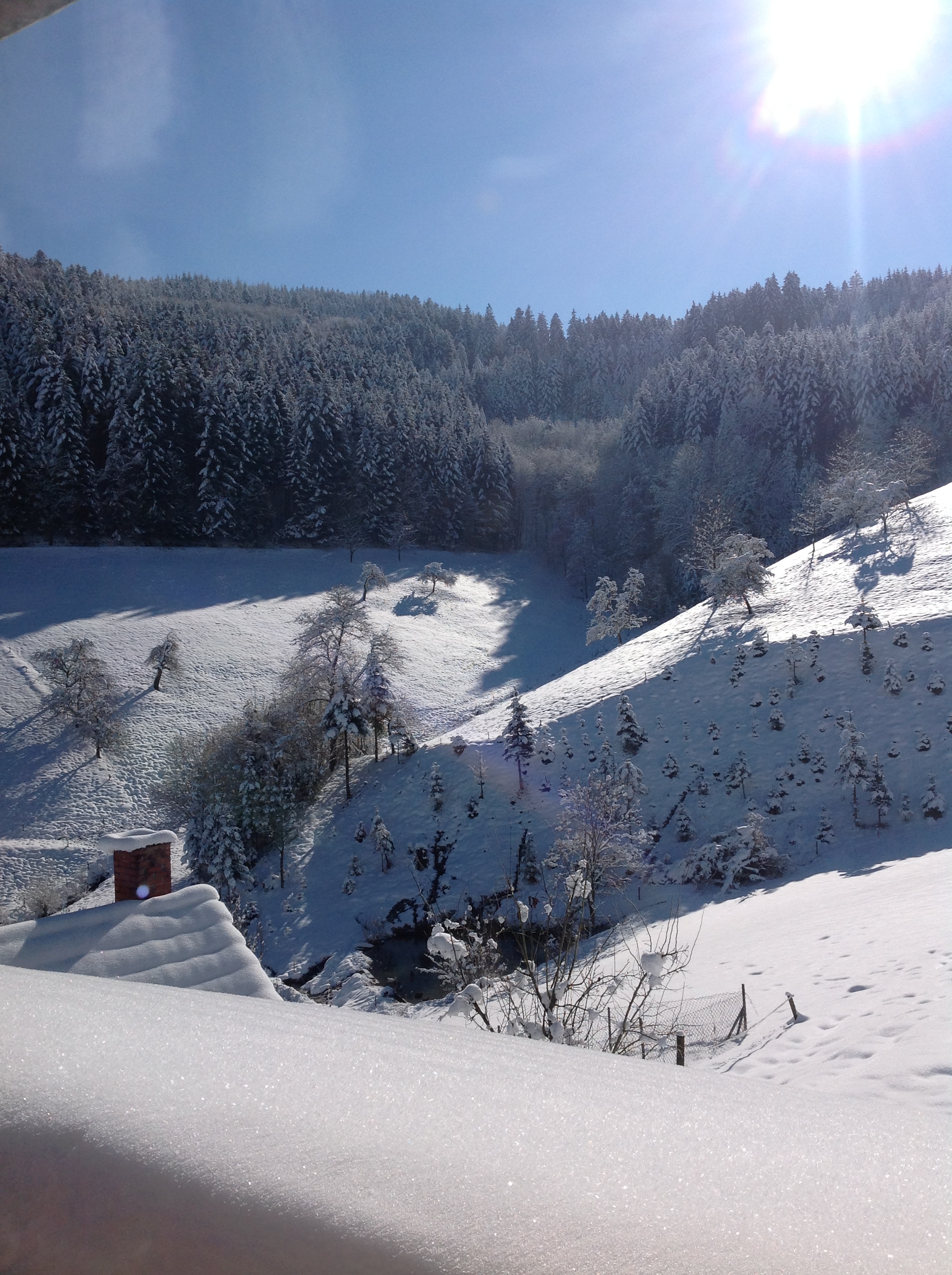 Winter