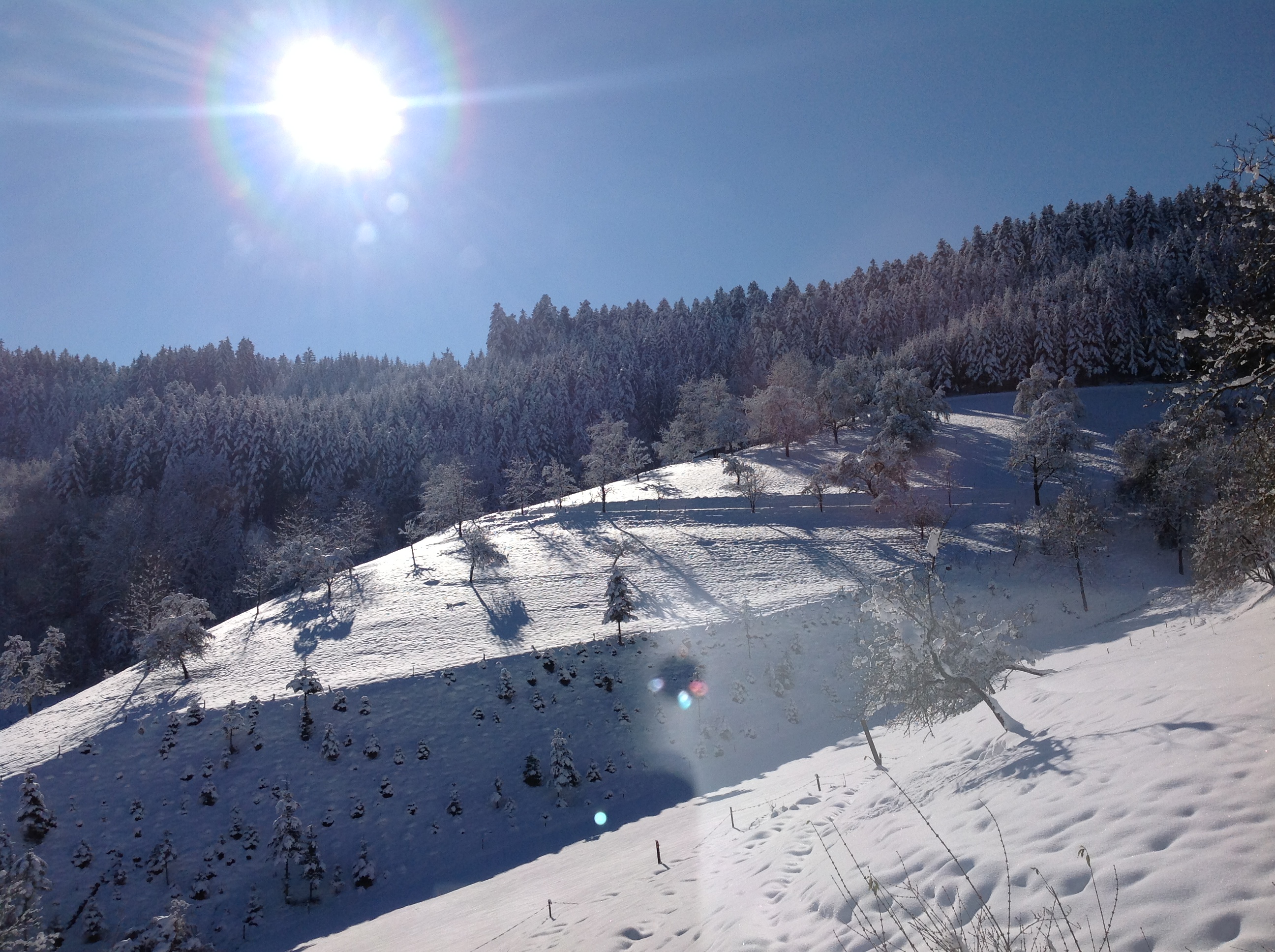 Winter