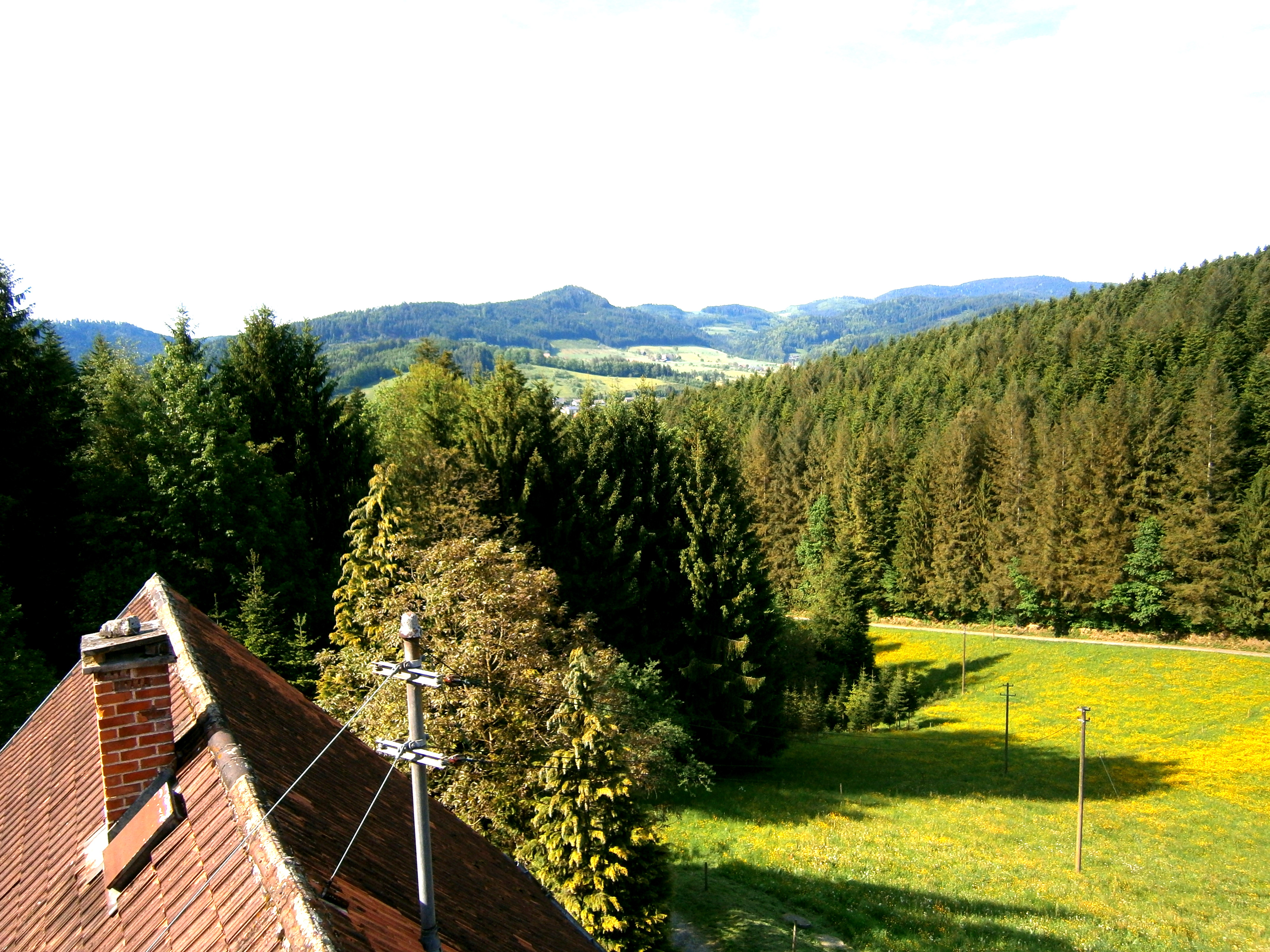 Landschaft