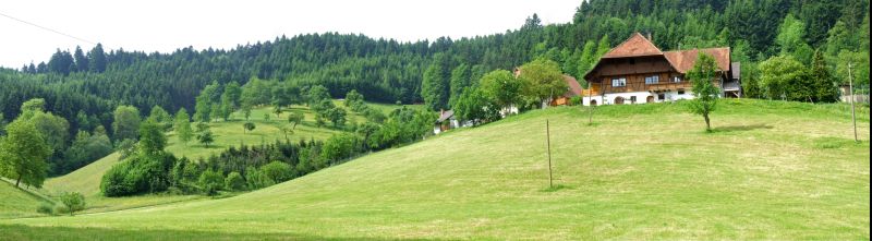 Panorama